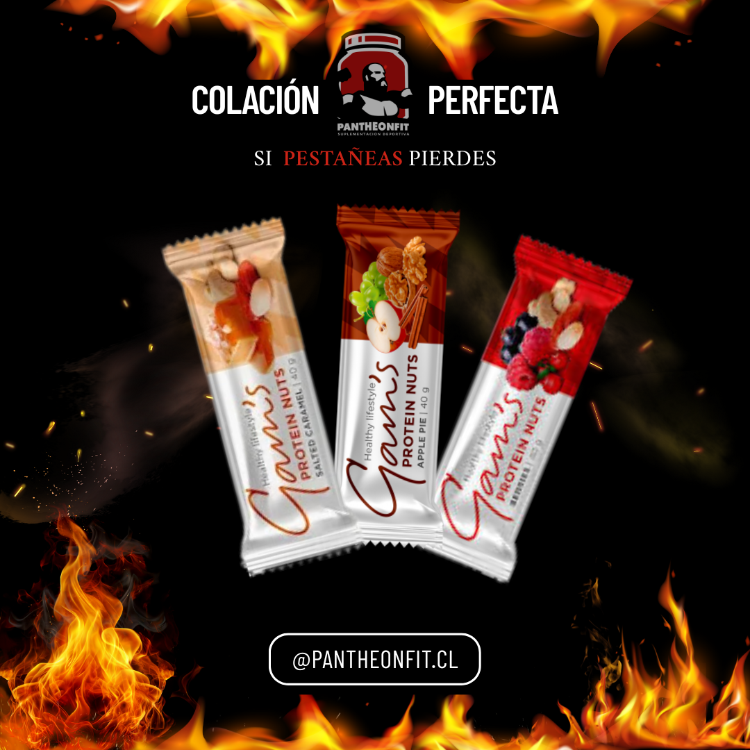 GAMS PROTEIN NUTS 40 GR