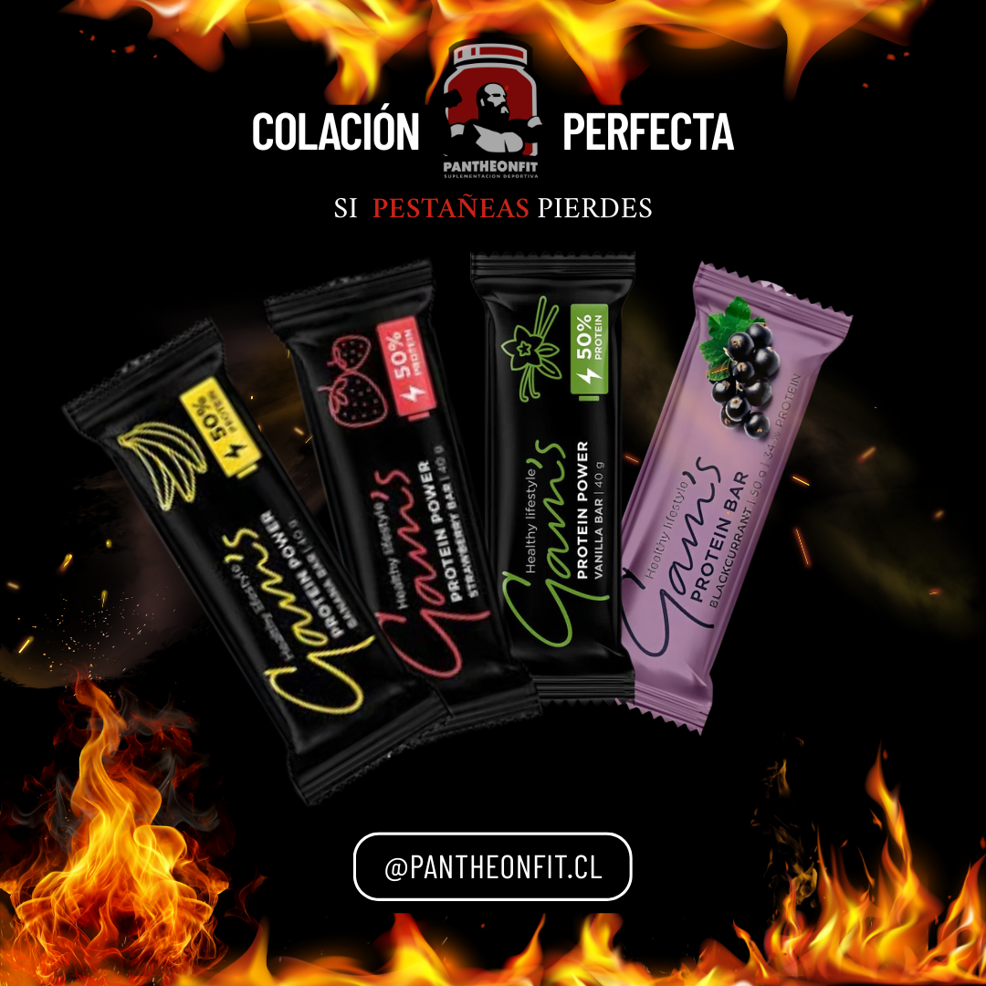 GAMS PROTEIN BAR 40 GR